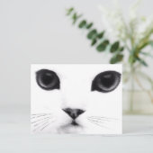 子猫猫の特徴 ポストカード (スタンド正面)