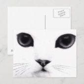子猫猫の特徴 ポストカード (正面/裏面)
