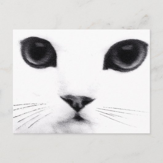 子猫猫の特徴 ポストカード (正面)