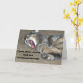 子猫猫をよりよくすぐに感じます カード (黄色い花)