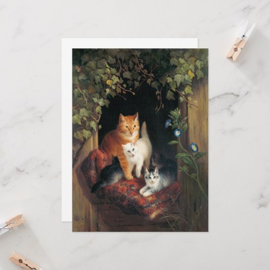 子猫猫 カード (正面/裏面インサイチュ)