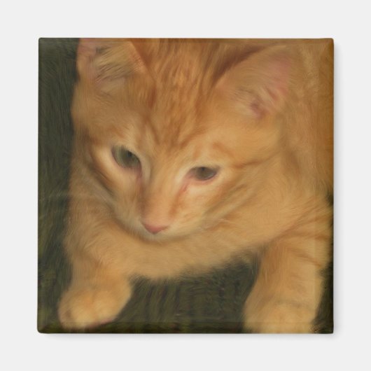 子猫磁石 マグネット (正面)