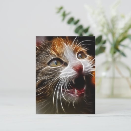 子猫空腹 ポストカード (スタンド正面)