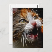 子猫空腹 ポストカード (正面/裏面)