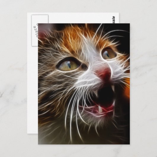 子猫空腹 ポストカード (正面/裏面)