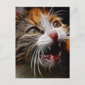 子猫空腹 ポストカード (正面)