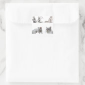 子猫素晴らし愛猫 スクエアシール (バッグ)