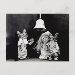 子猫結婚の ポストカード