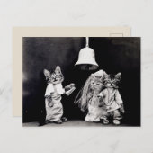 子猫結婚の ポストカード (正面/裏面)
