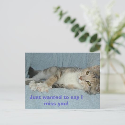 子猫言いたいだけ恋しく思だ! ポストカード (スタンド正面)