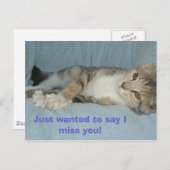 子猫言いたいだけ恋しく思だ! ポストカード (正面/裏面)