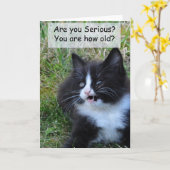 子猫誕生日カーおもしろいド – !!! カード (黄色い花)