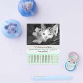 子猫販売チラシテンプレート チラシ (シングル)
