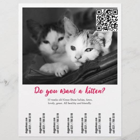 子猫販売チラシ チラシ (正面)