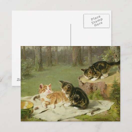 子猫遊の ポストカード (正面/裏面)