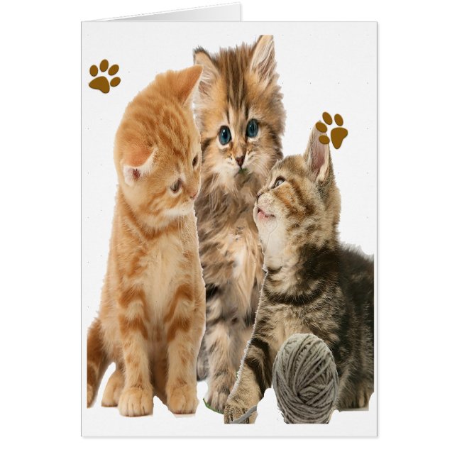 子猫遊のTシャツ (正面)