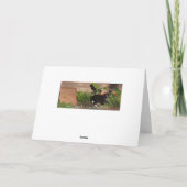 子猫遊ラベルグリーティングカード カード (裏面)