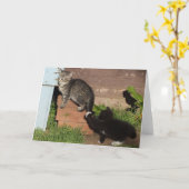 子猫遊ラベルグリーティングカード カード (黄色い花)