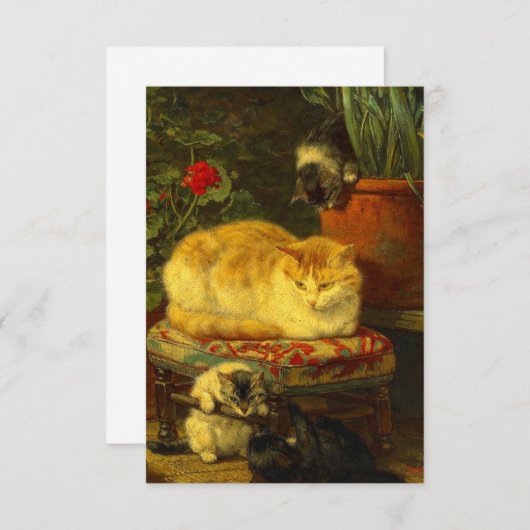 子猫遊 エンクロージャーカード (正面/裏面)