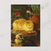 子猫遊 エンクロージャーカード (正面)