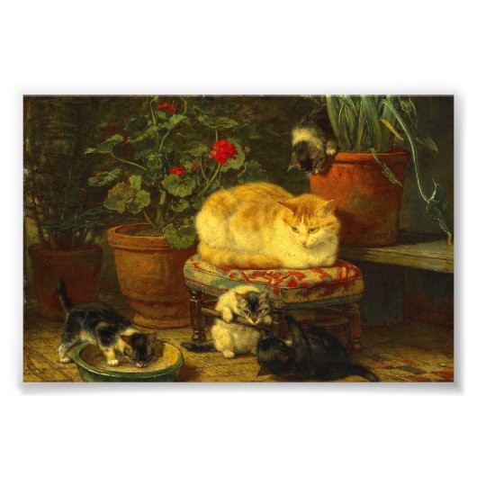 子猫遊 フォトプリント            (正面)