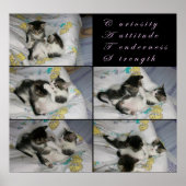 子猫遊 ポスター (正面)