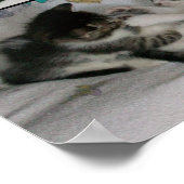 子猫遊 ポスター (角)