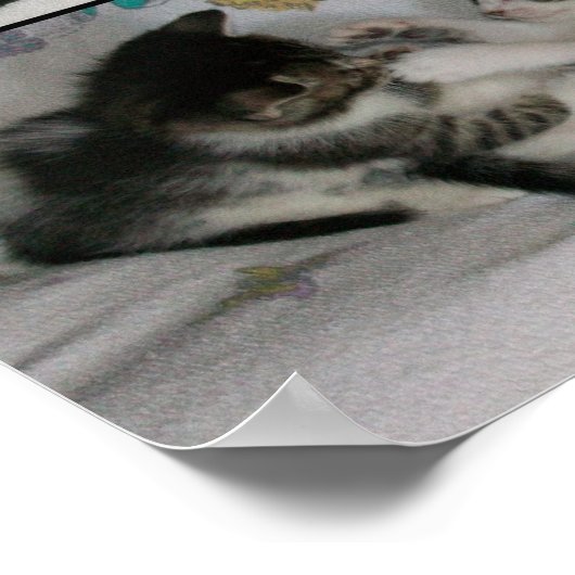 子猫遊 ポスター (角)