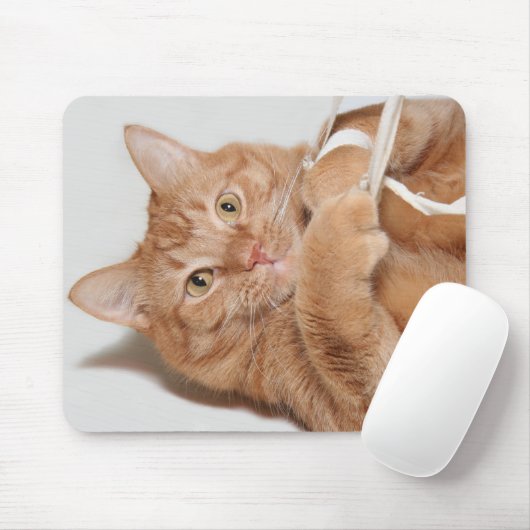 子猫遊 マウスパッド (マウス)