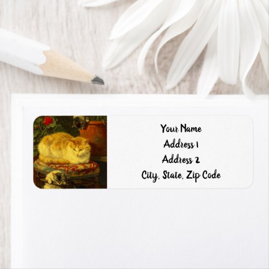 子猫遊 ラベル (インサイチュ)