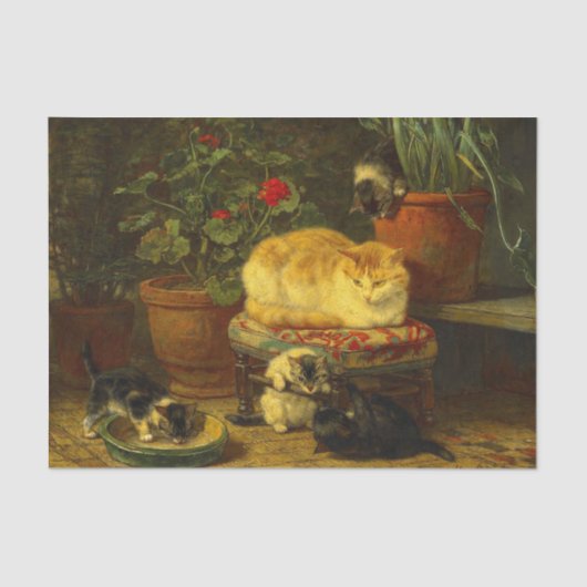 子猫遊 薄葉紙 (正面)