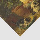 子猫遊 薄葉紙 (詳細)