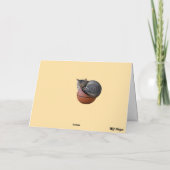 子猫野球 カード (裏面)