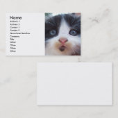 子猫顔名刺 名刺 (正面/裏面)
