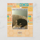 子猫願い ポストカード (正面)