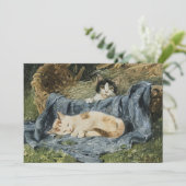 子猫2 | ジュリアス・アダム (スタンド正面)