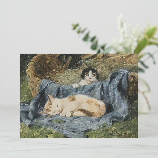 子猫2 | ジュリアス・アダム (スタンド正面)