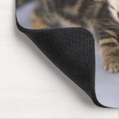 子猫2 マウスパッド (コーナー)