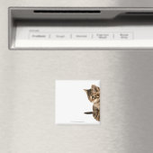 子猫2 マグネット (インサイチュ (食洗機))