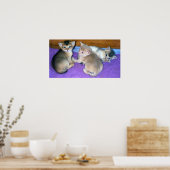 子猫3週間のアビシニアン ポスター (キッチン)