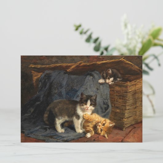 子猫3 | ジュリアス・アダム (スタンド正面)