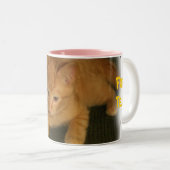 子猫「お茶には可愛すぎる」マグカップ ツートーンマグカップ (正面右)