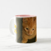 子猫「お茶には可愛すぎる」マグカップ ツートーンマグカップ (正面左)