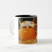 子猫、かぼちゃと子犬 ツートーンマグカップ (正面左)