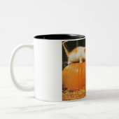 子猫、かぼちゃと子犬 ツートーンマグカップ (左)