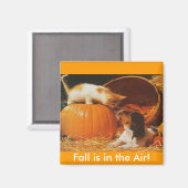 子猫、かぼちゃと子犬 マグネット (正面/裏面)