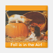 子猫、かぼちゃと子犬 マグネット (正面)