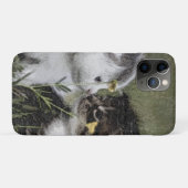 子猫, かわいい, 自然 Case-Mate iPhoneケース (裏面(横))