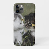 子猫, かわいい, 自然 Case-Mate iPhoneケース (裏)