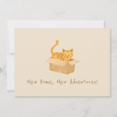 子猫・オン・ムービング 案内状 (正面)